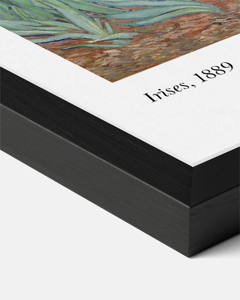 Van Gogh Irissen Poster
