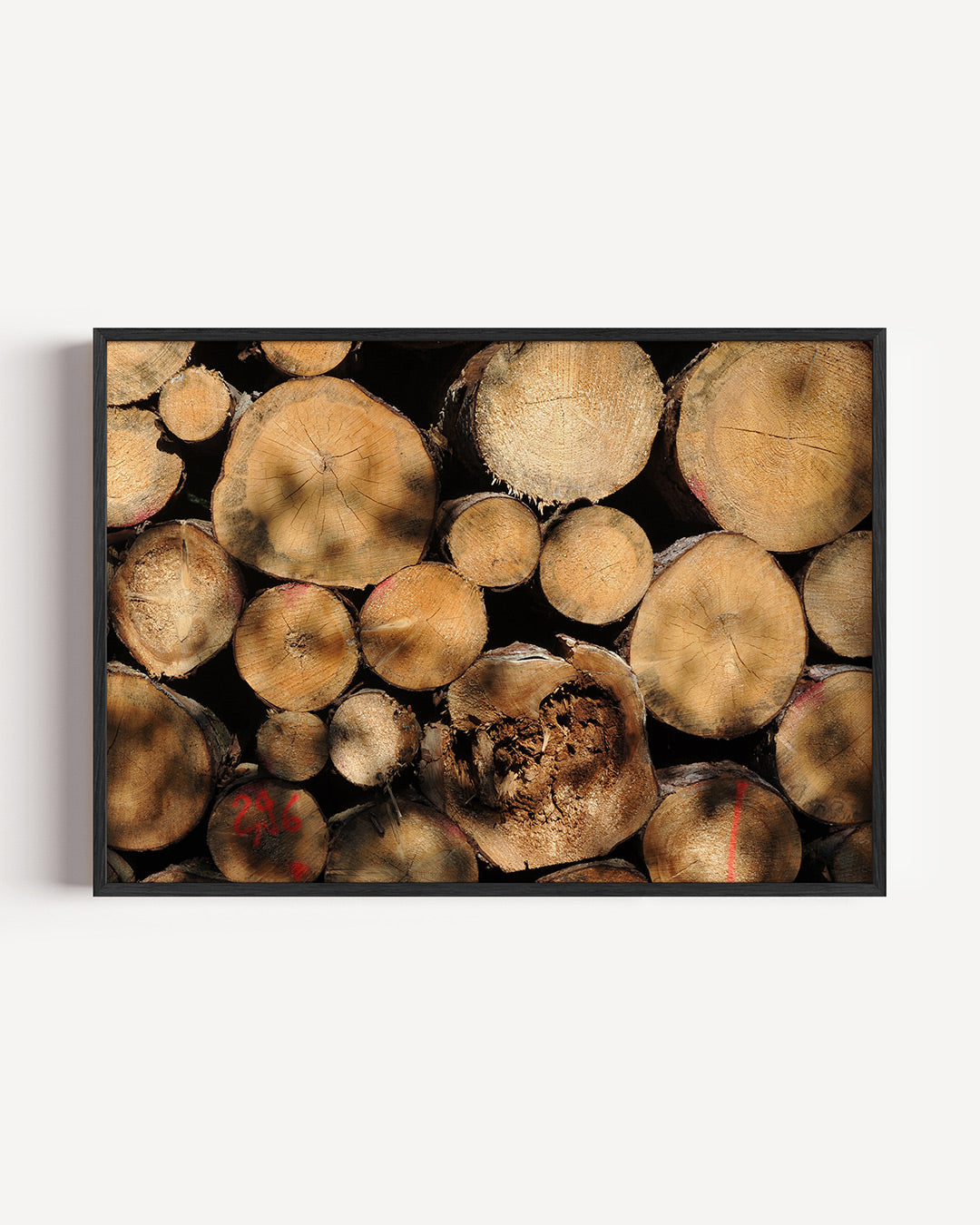 Houtstapel textuur Poster