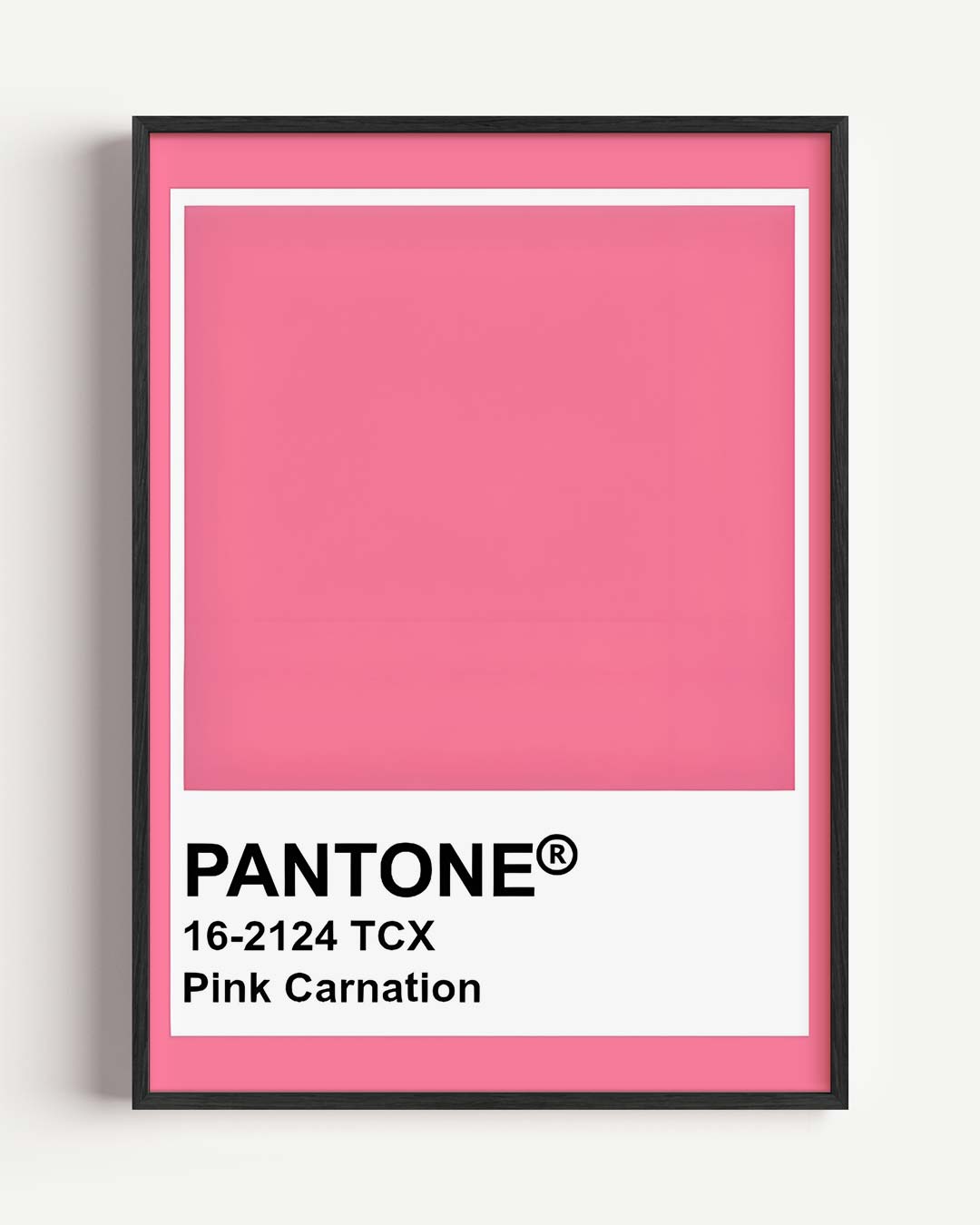 Pantone Pink Carnation Poster