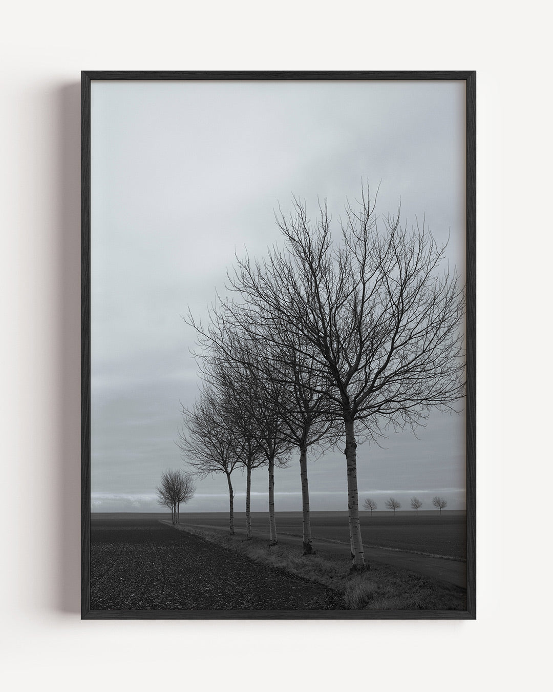 Landschap met bomenrij Poster