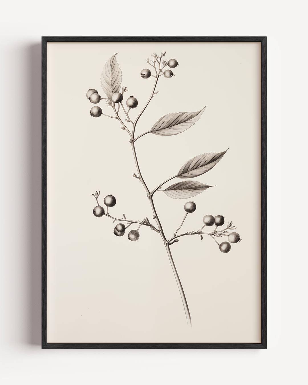 Botanische Bessen Illustratie Poster-WallArtistic