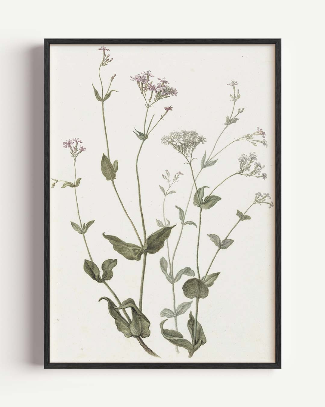 Botanische Bloemenposter