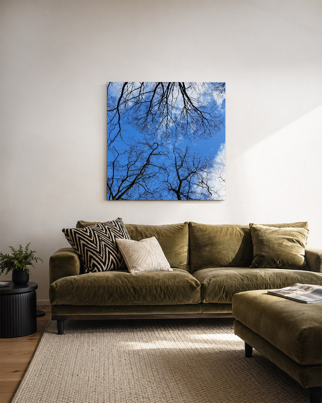 Boomtakken tegen lucht Kunstwerk