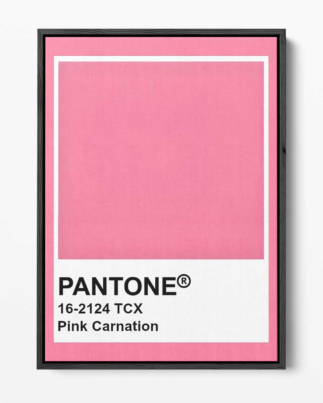 Roze Carnation Canvas Kunstwerk-canvas-dibond-plexiglas-wanddecoratie-WallArtistic