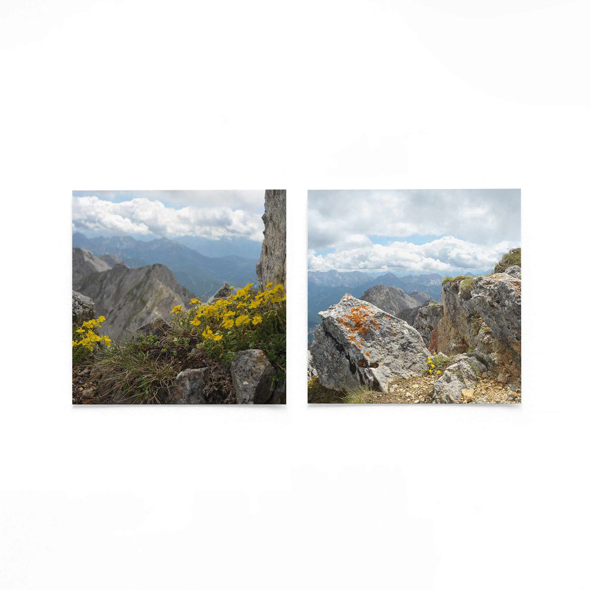 Productfoto van twee vierkante posters met alpenrots en gele bloemen – Gerald Emming
