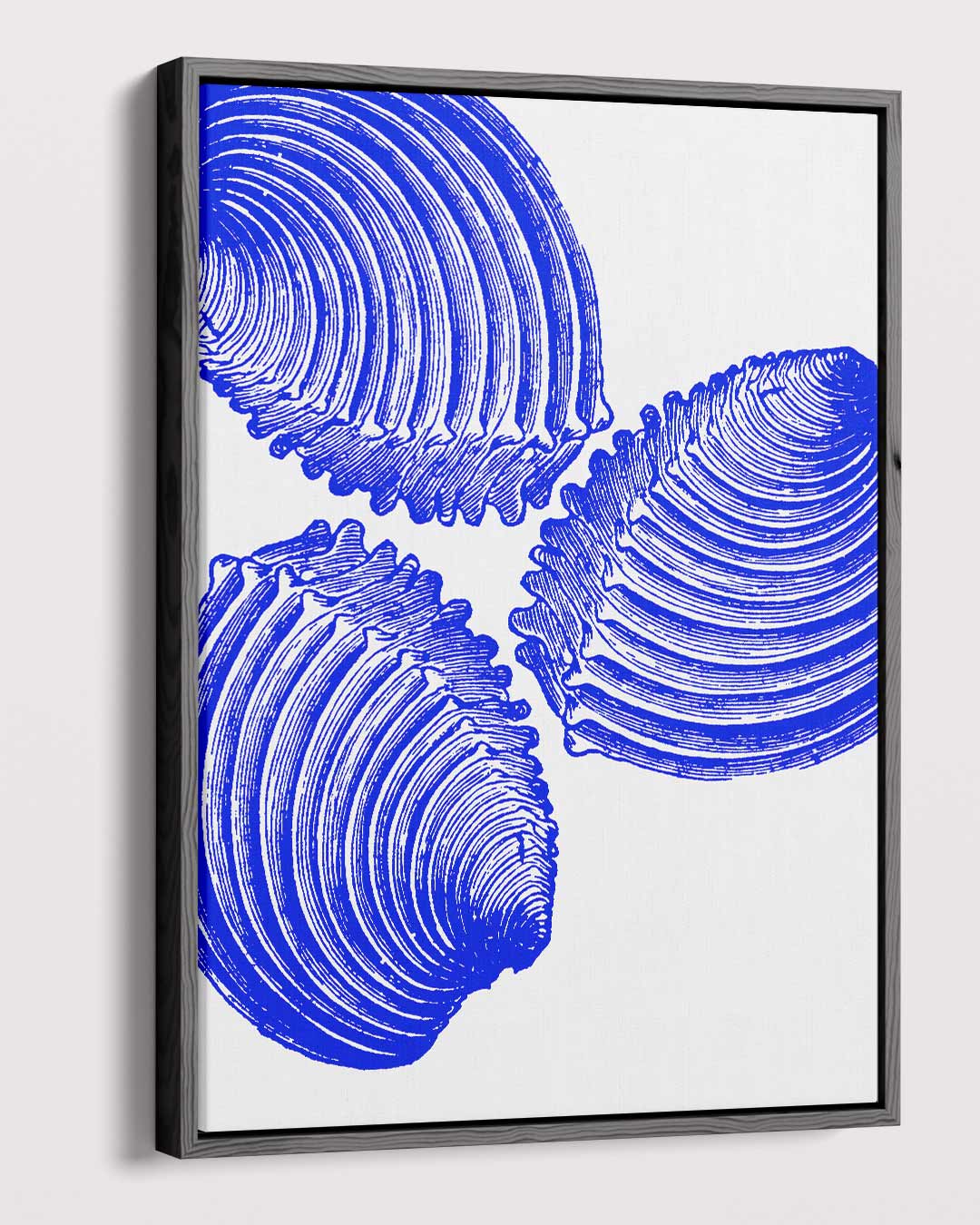 Blauwe Schelp Trio Kunstwerk Kunstwerk-canvas-dibond-plexiglas-wanddecoratie-WallArtistic