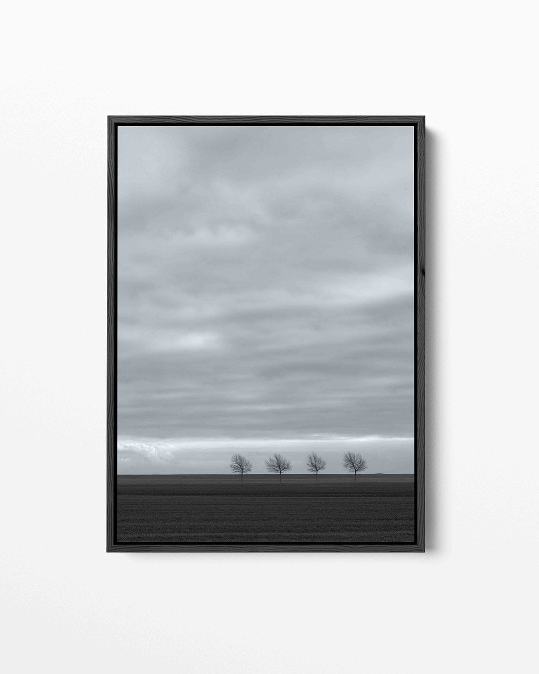 Landschap Kunstwerk