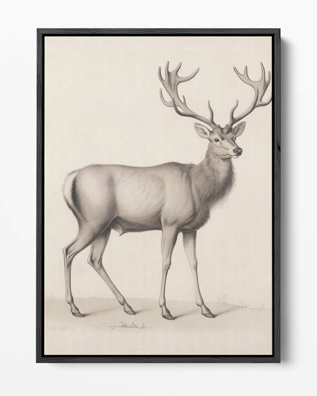 Elegante Hertenschets Kunstwerk-canvas-dibond-plexiglas-wanddecoratie-WallArtistic