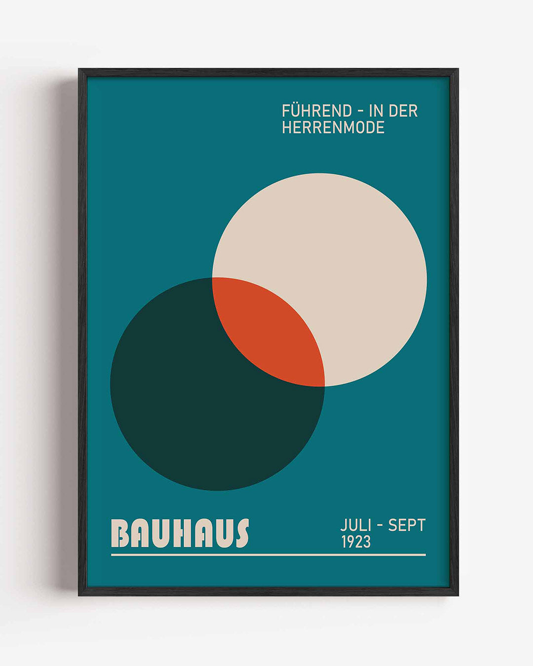 Cirkelvormen en kleur Poster