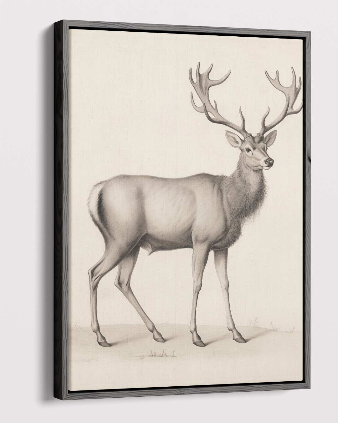 Elegante Hertenschets Kunstwerk-canvas-dibond-plexiglas-wanddecoratie-WallArtistic