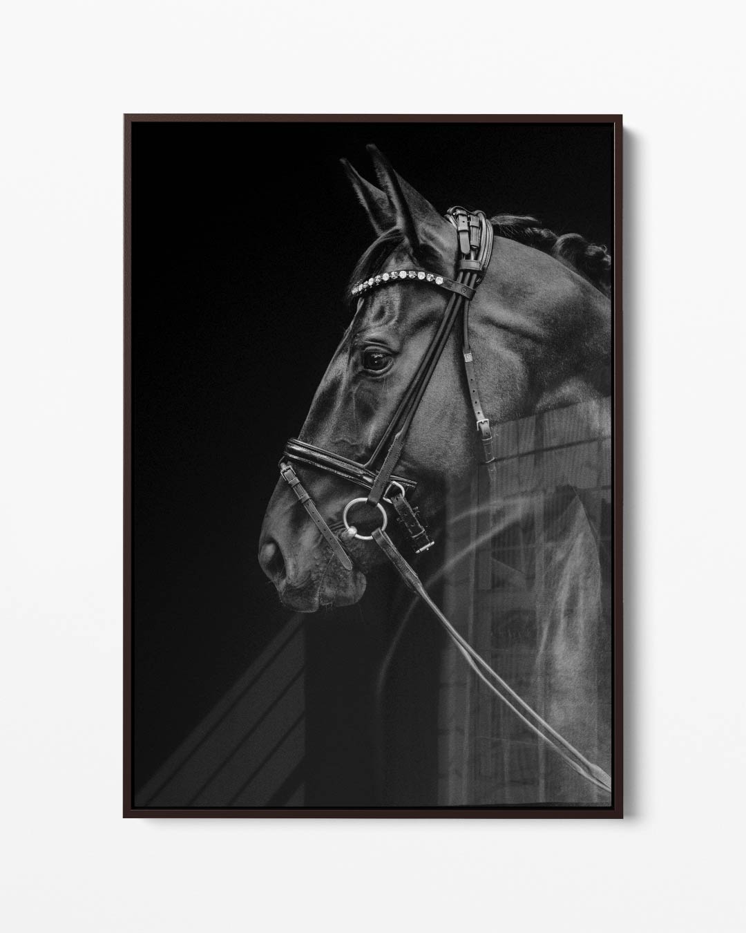 Elegante Paardenportret Fotografie Kunstwerk-canvas-dibond-plexiglas-wanddecoratie-WallArtistic