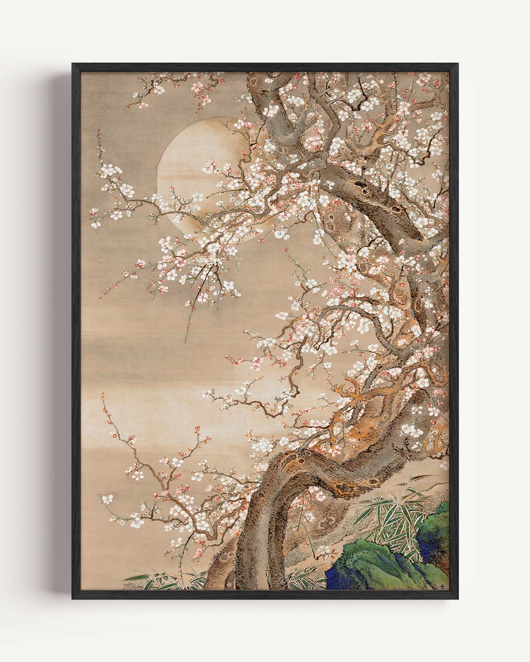 Sakura Dromen Poster
