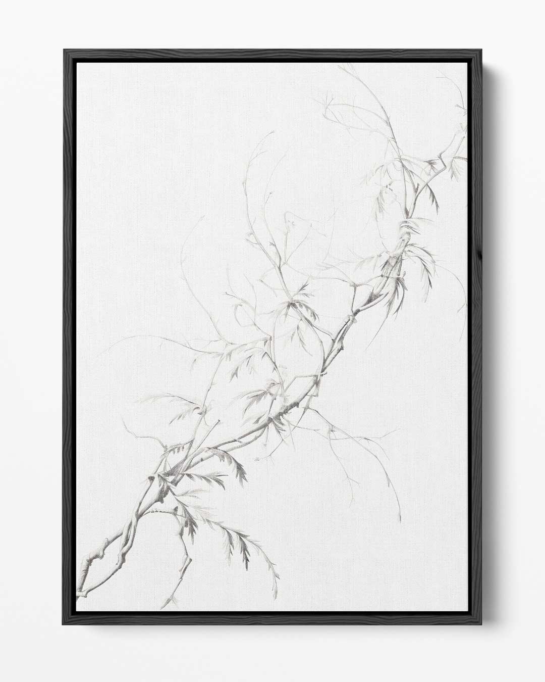 Bamboe in Potlood Kunstwerk-canvas-dibond-plexiglas-wanddecoratie-WallArtistic