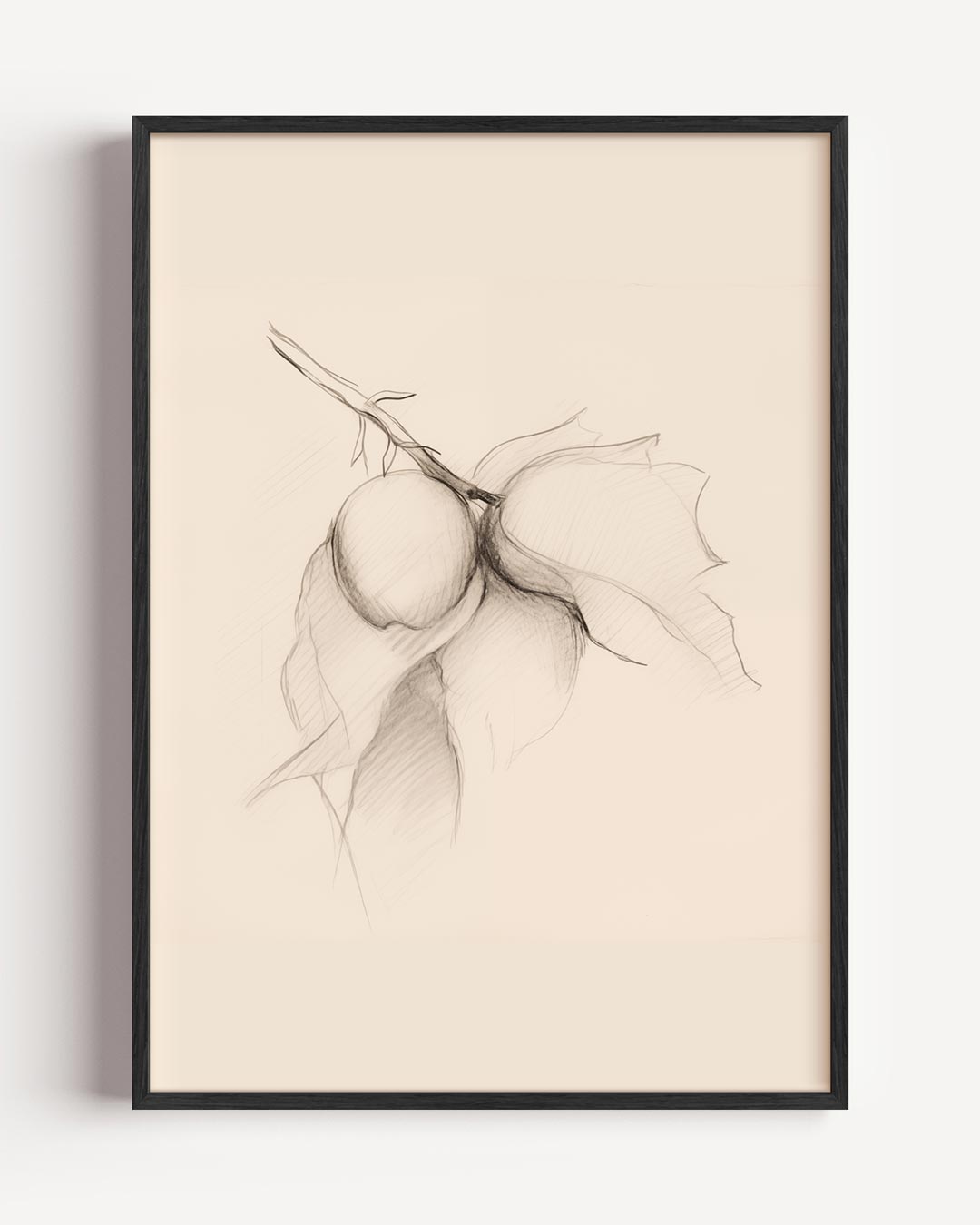 Elegante Botanische Potloodtekening Poster-WallArtistic