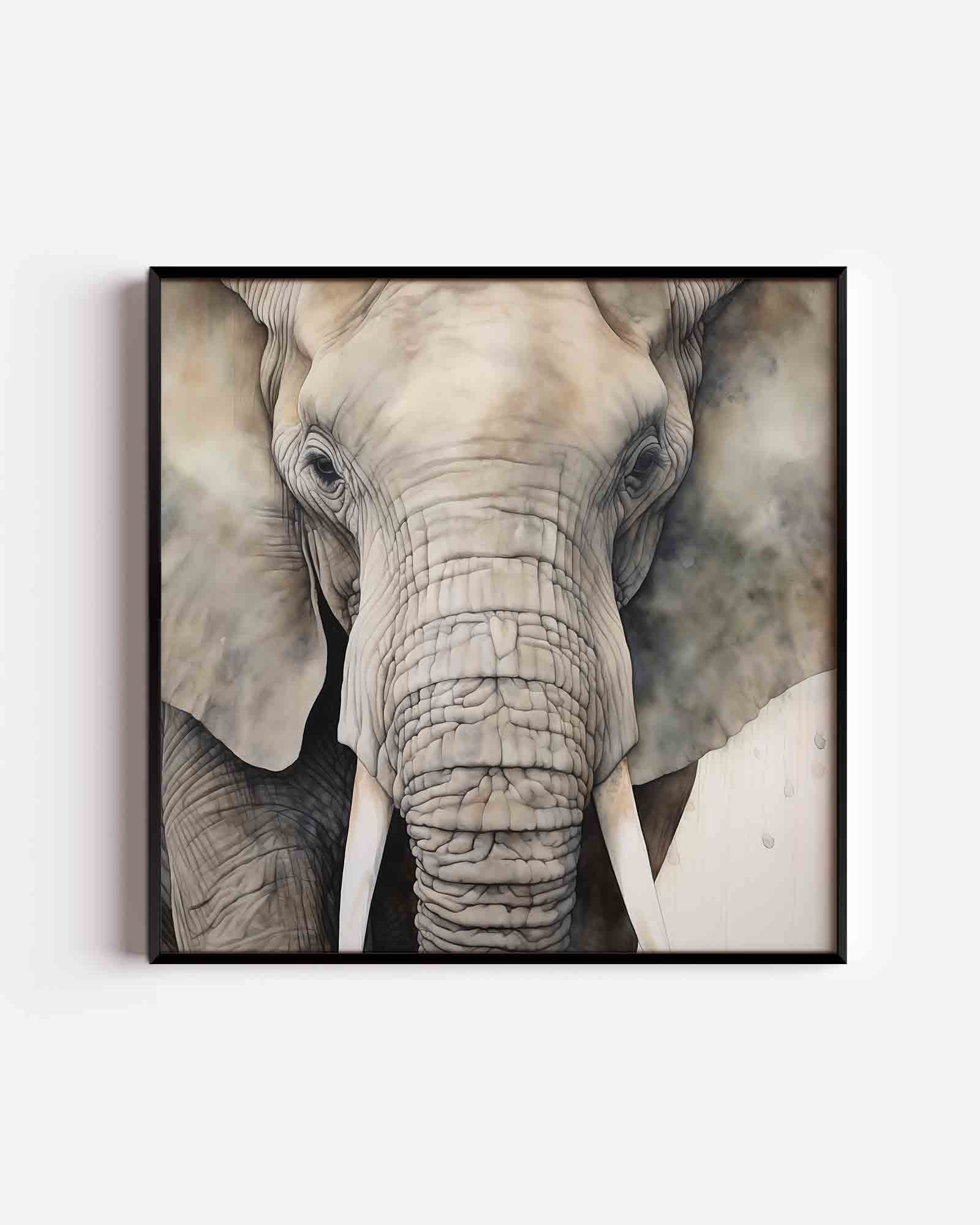 Olifant portret Poster