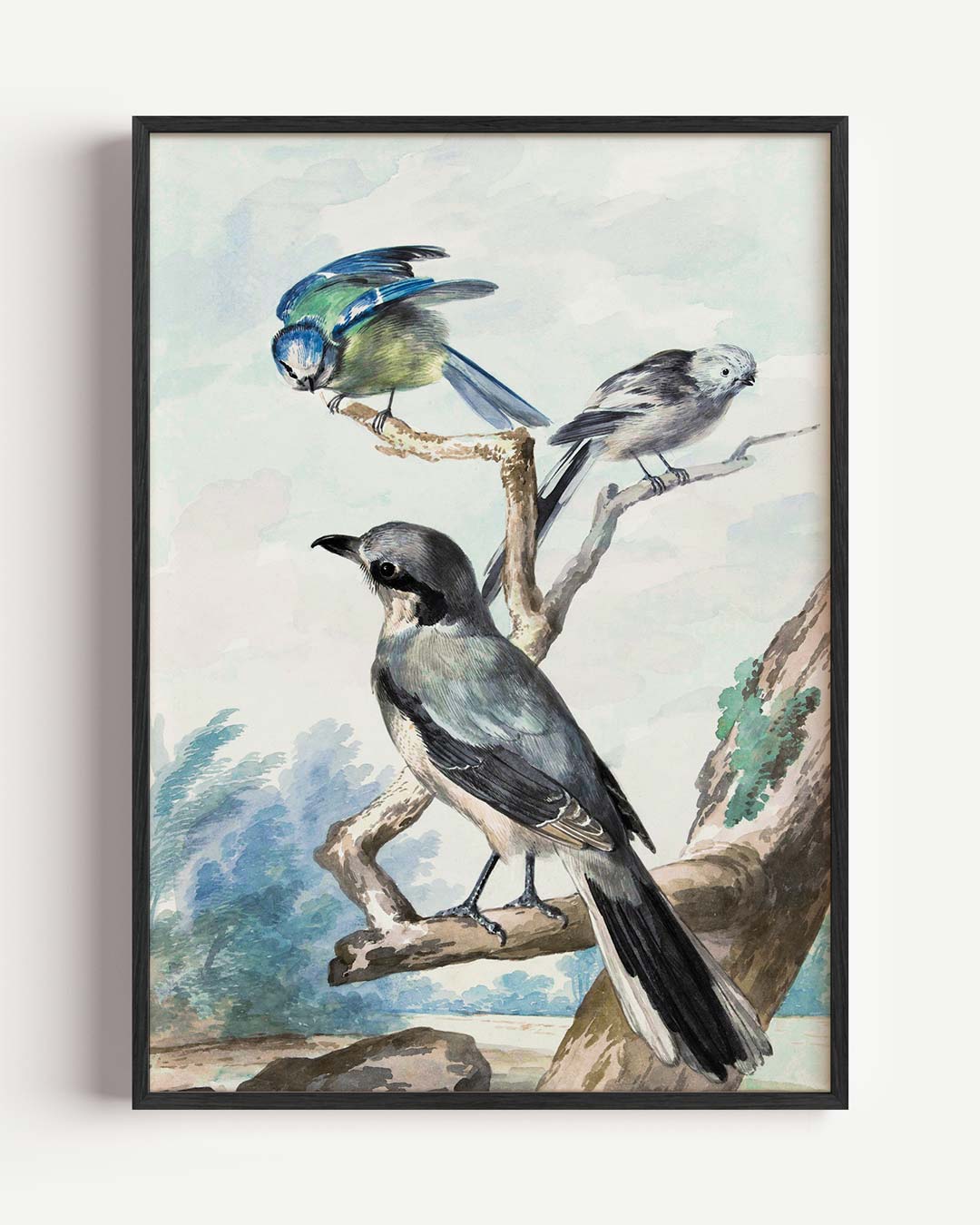 Vrolijke Vogels in de Natuur Poster