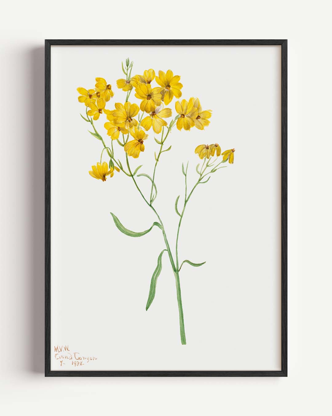 Zonnige Bloemen Illustratie Poster