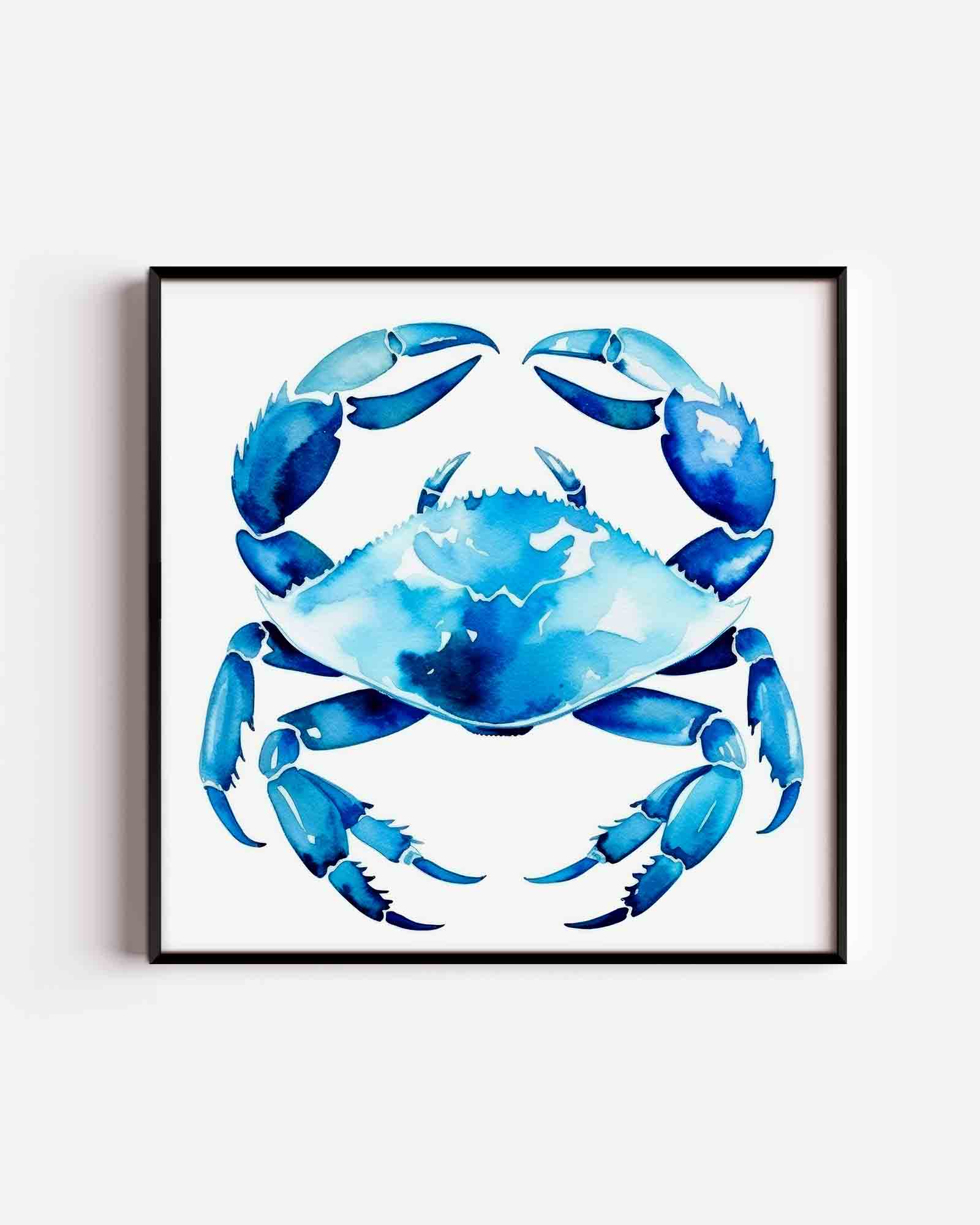 Blauwe krab Poster