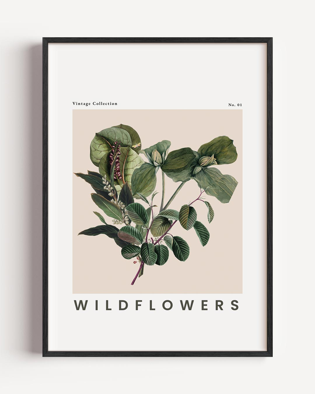 Vintage Botanische Wildflowers Poster-WallArtistic