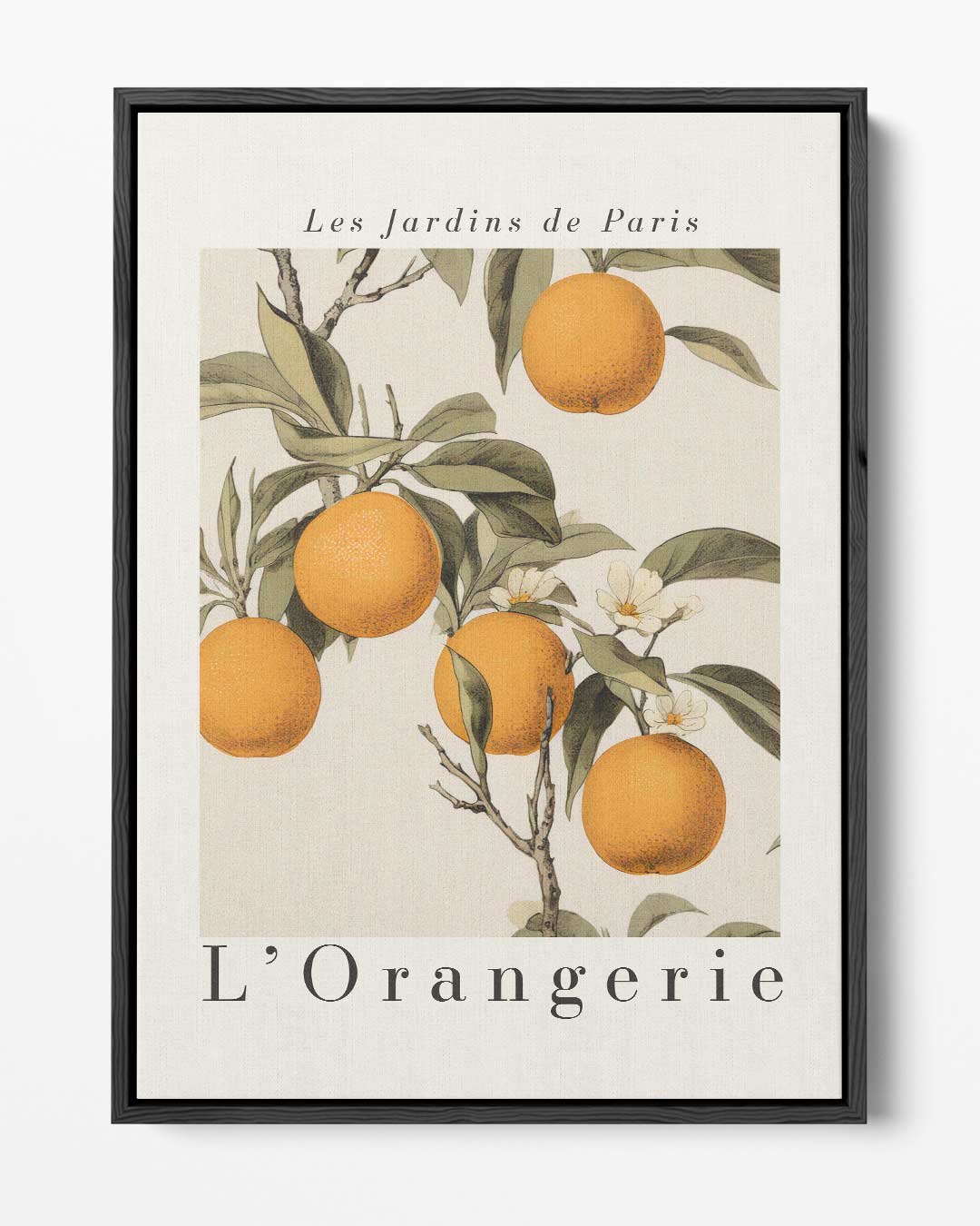 Les Jardins de Paris L'Orangerie Kunstwerk-canvas-dibond-plexiglas-wanddecoratie-WallArtistic