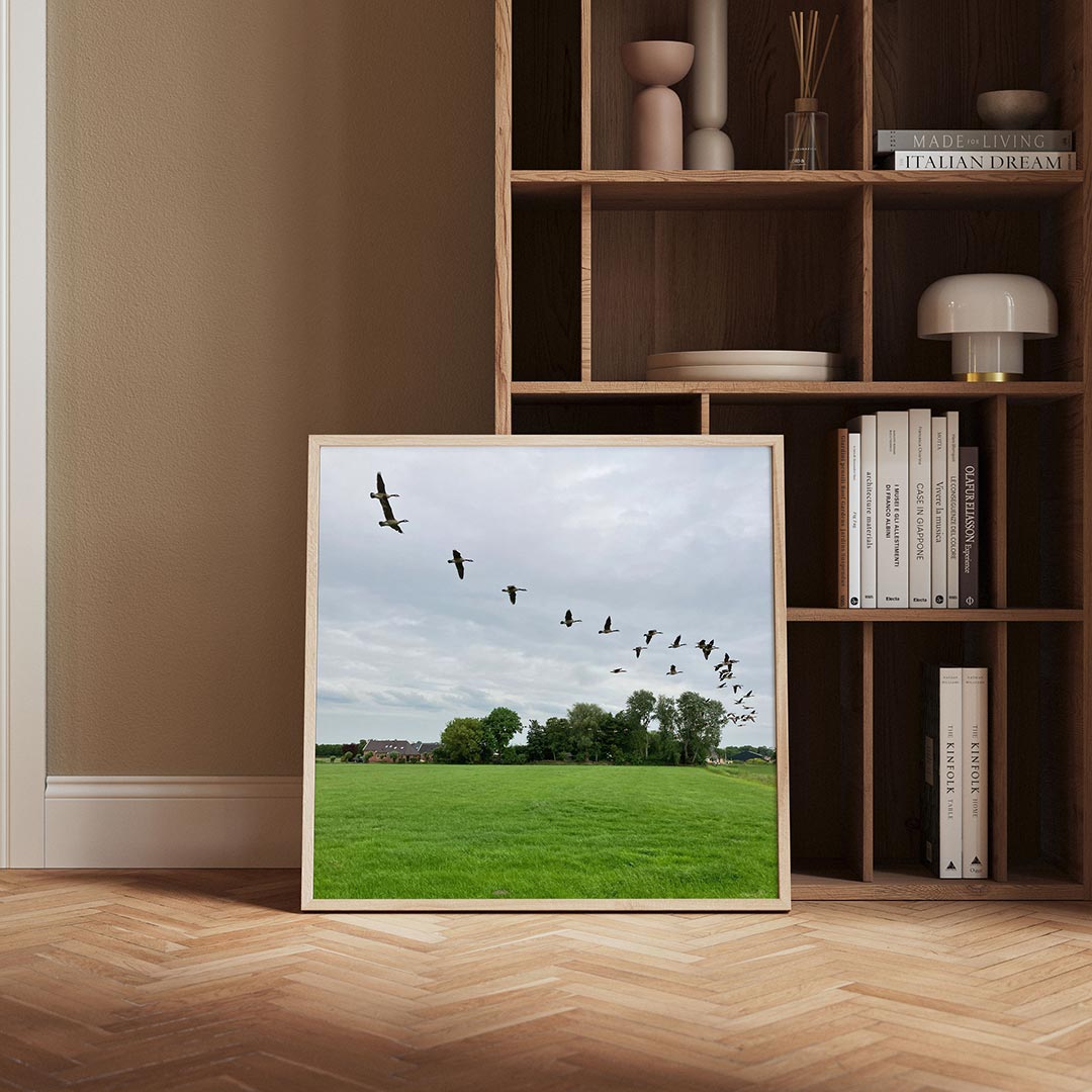 Vliegende vogels Poster