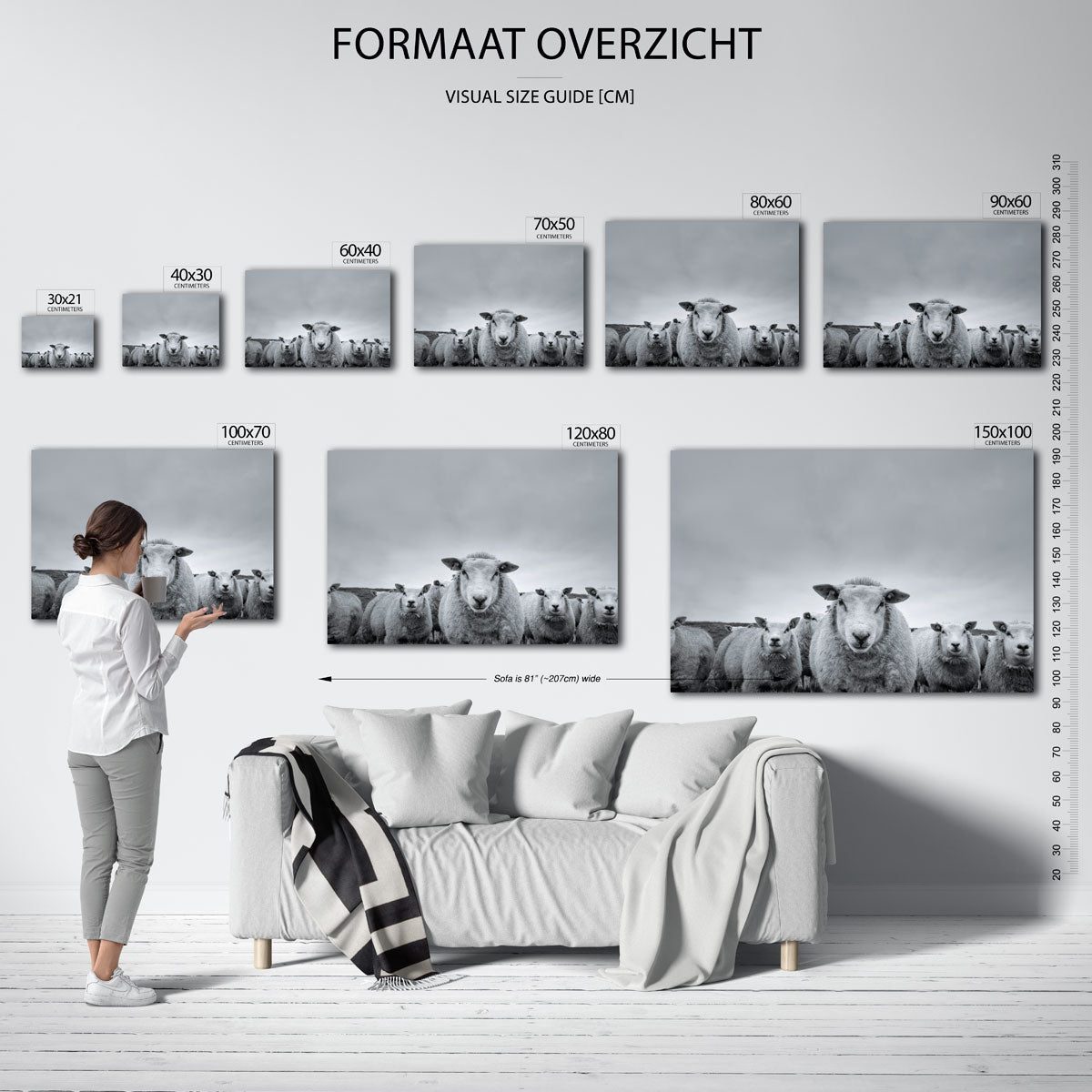 Schapen in de weide Poster