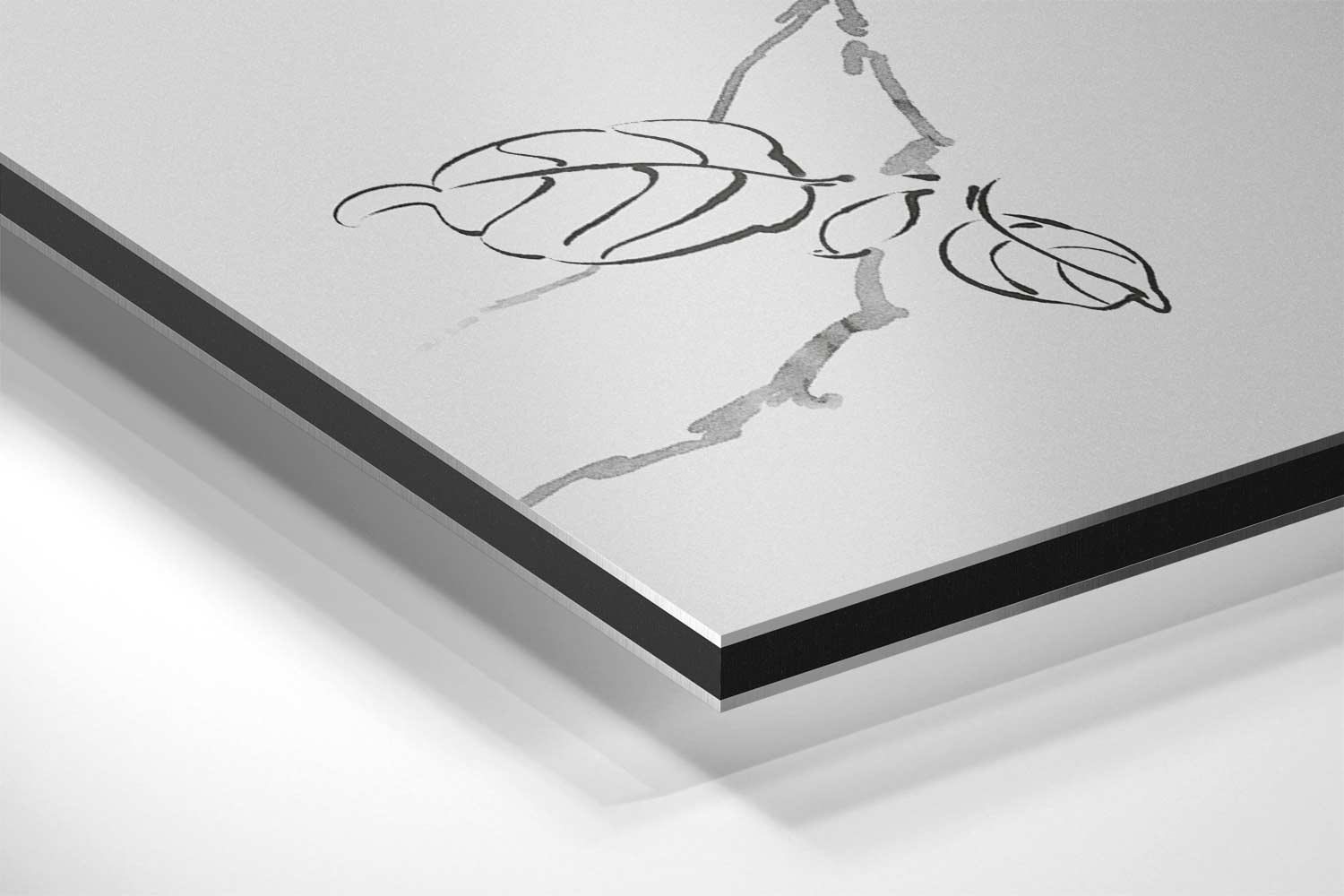 Gracieus Tekeningen van Westerse Populus Kunstwerk-canvas-dibond-plexiglas-wanddecoratie-WallArtistic