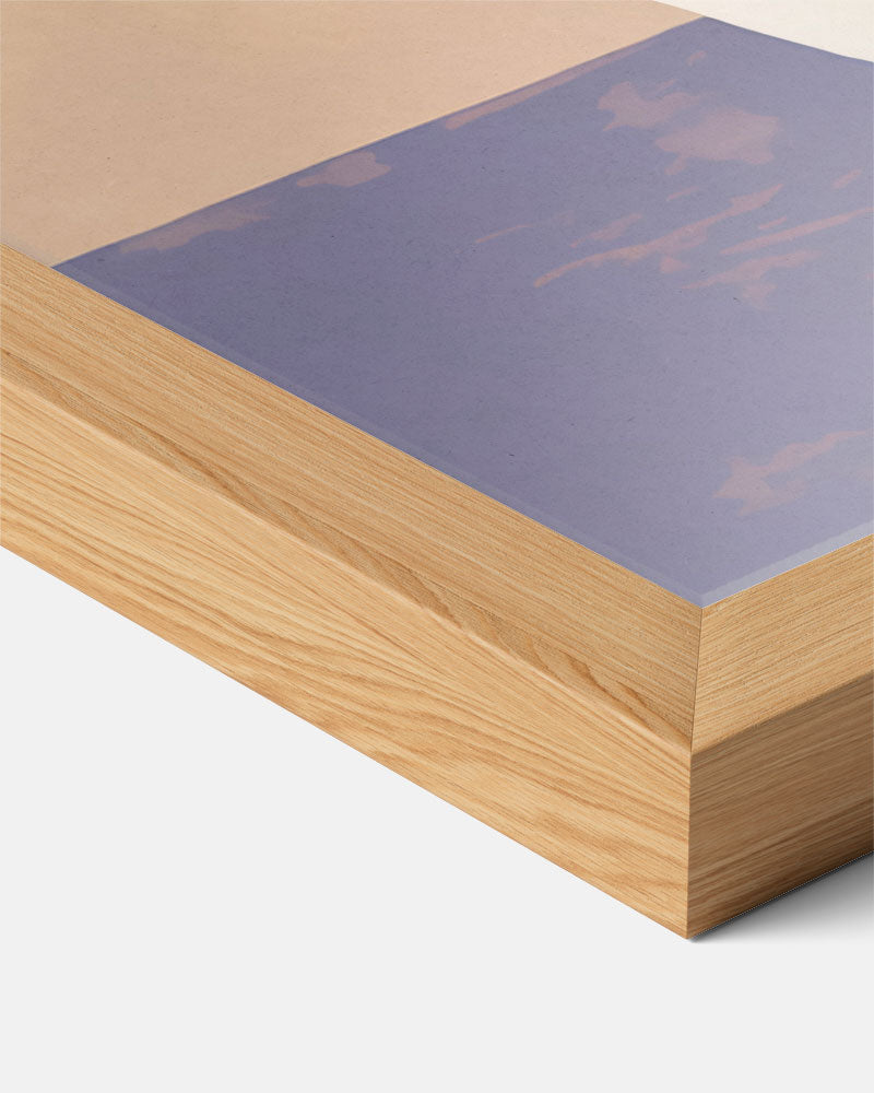 Kleurrijke Vaas Kunstposter-WallArtistic