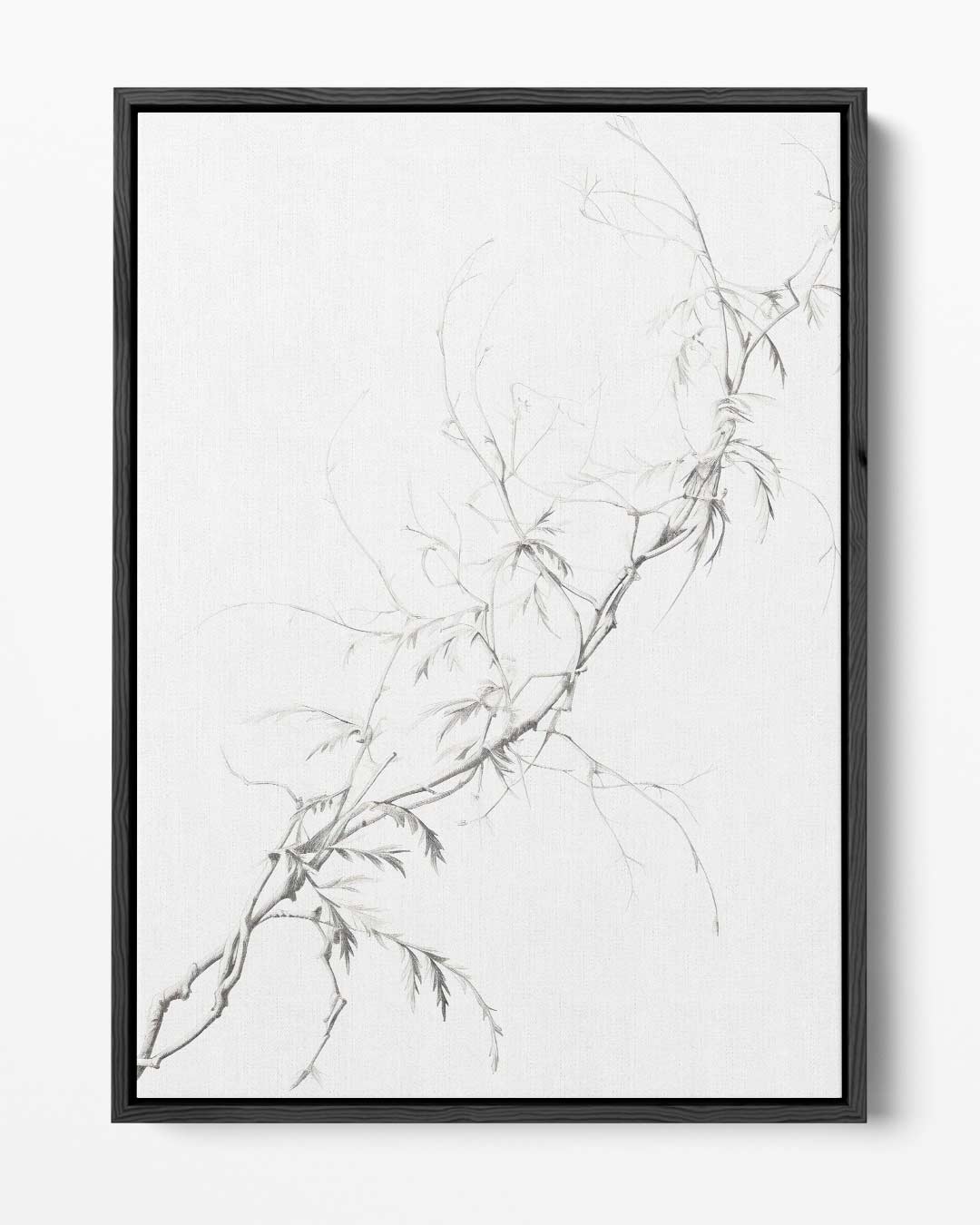 Elegante Takken in Potlood Kunstwerk-canvas-dibond-plexiglas-wanddecoratie-WallArtistic