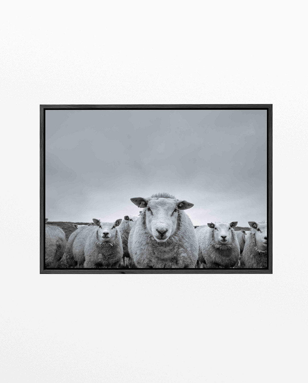 Schapen in de weide Kunstwerk