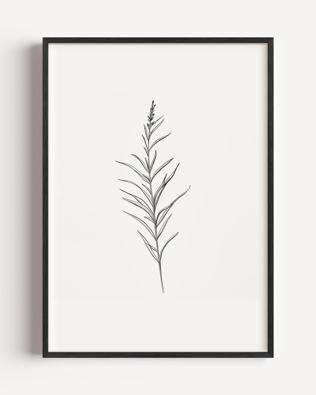 Botanische Zwart-Wit Poster-WallArtistic