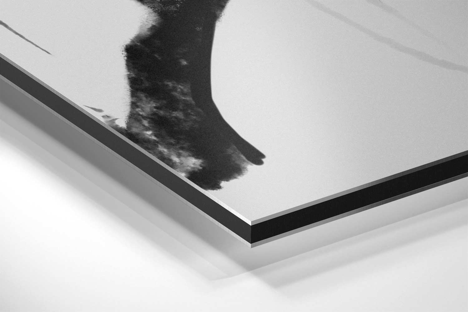 Subtiele Zen Bomen Kunstwerk-canvas-dibond-plexiglas-wanddecoratie-WallArtistic
