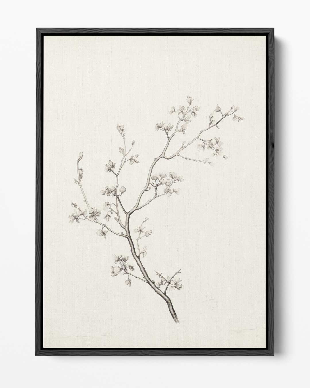 Zacht Lentevertakking Kunstwerk-canvas-dibond-plexiglas-wanddecoratie-WallArtistic