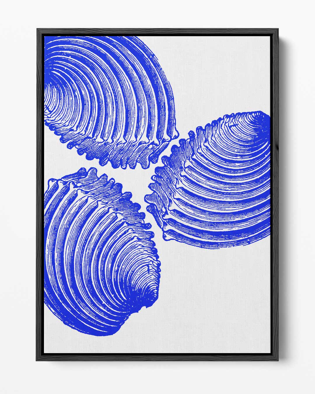 Blauwe Schelp Trio Kunstwerk Kunstwerk-canvas-dibond-plexiglas-wanddecoratie-WallArtistic
