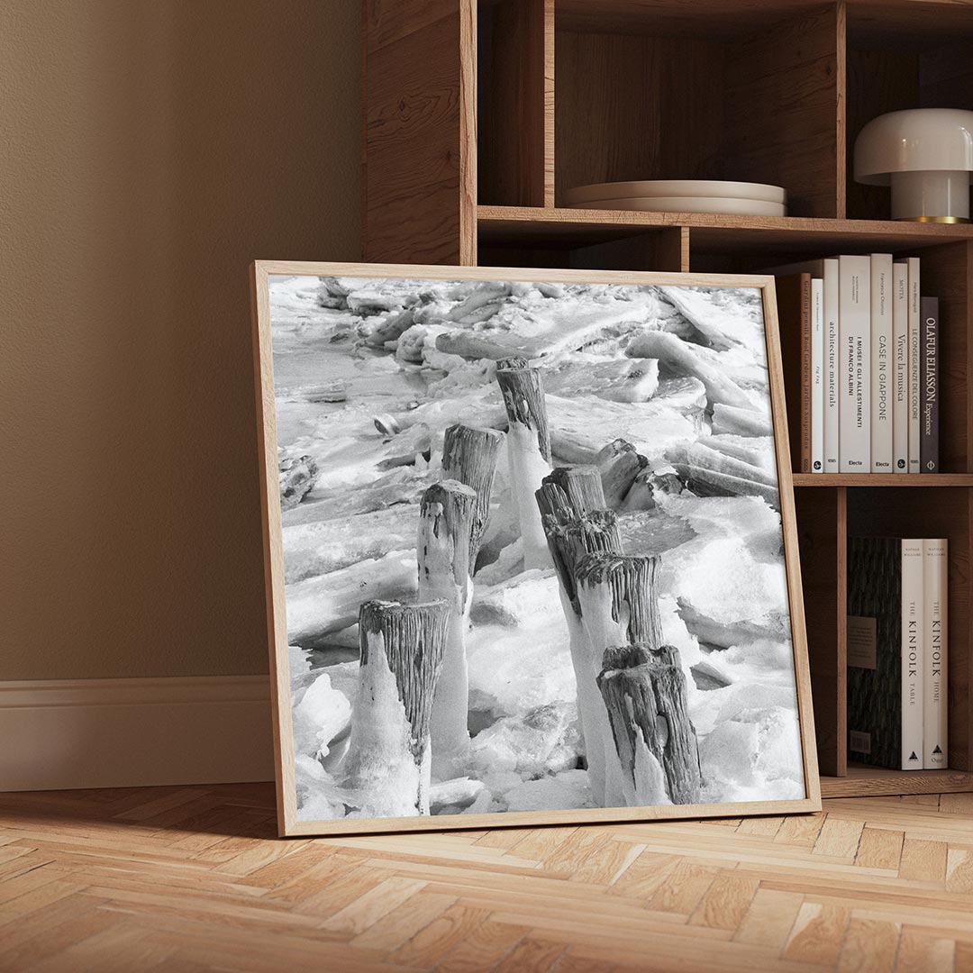 Ijs en houten palen Poster
