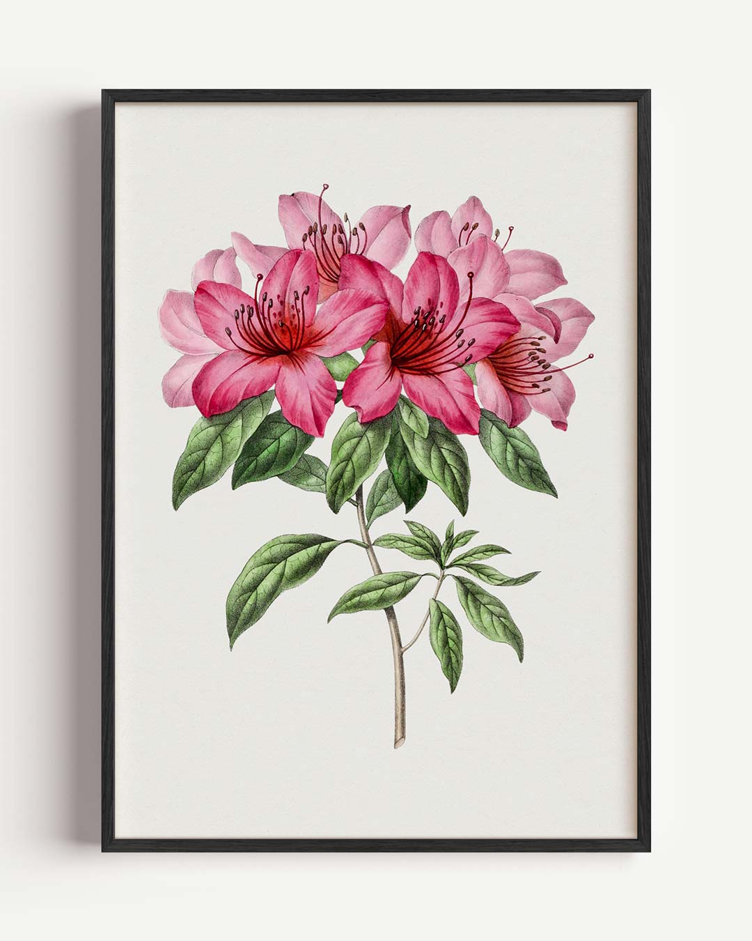 Prachtige Roze Bloemenpracht Poster