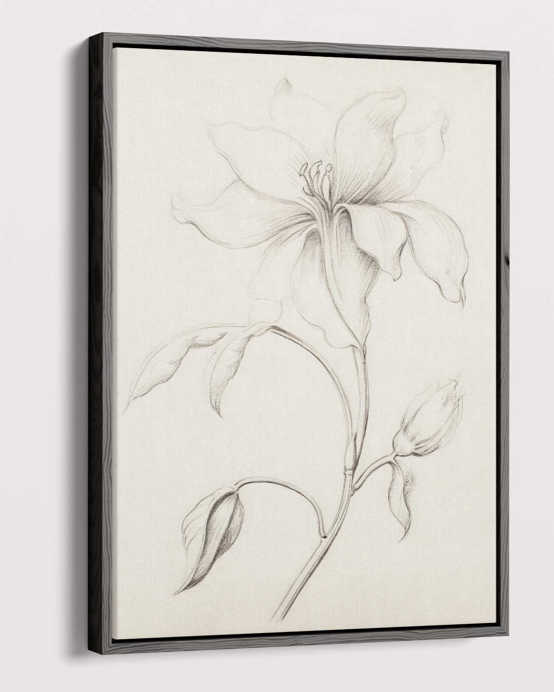 Elegante Bloementekening in Potlood Kunstwerk-canvas-dibond-plexiglas-wanddecoratie-WallArtistic