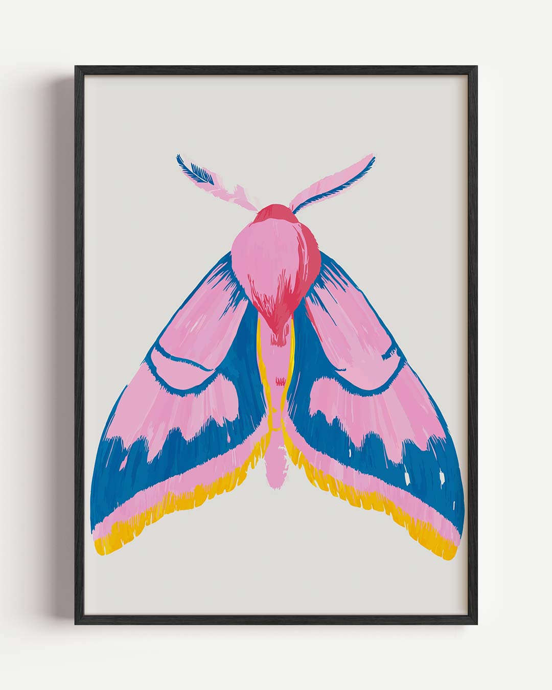 Kleurrijke Vlinderposter