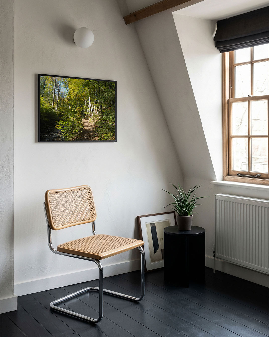 Boswandeling pad Poster