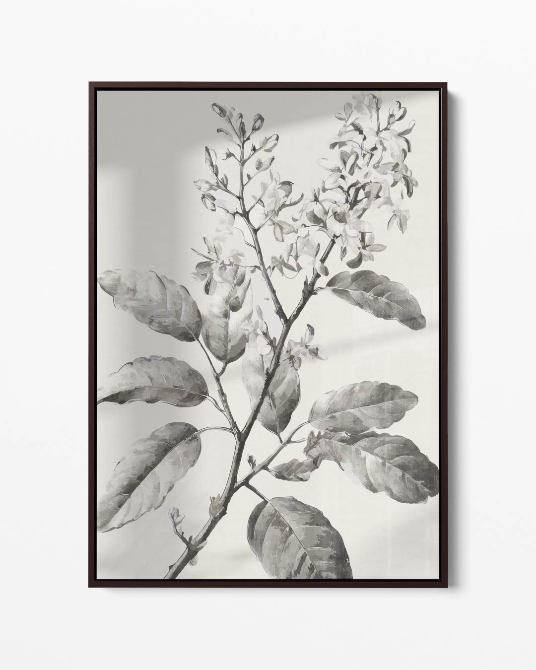 Botanische Schets in Zwart-Wit Kunstwerk-canvas-dibond-plexiglas-wanddecoratie-WallArtistic