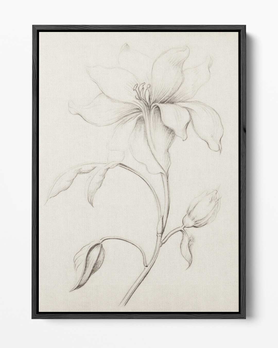 Elegante Bloementekening in Potlood Kunstwerk-canvas-dibond-plexiglas-wanddecoratie-WallArtistic