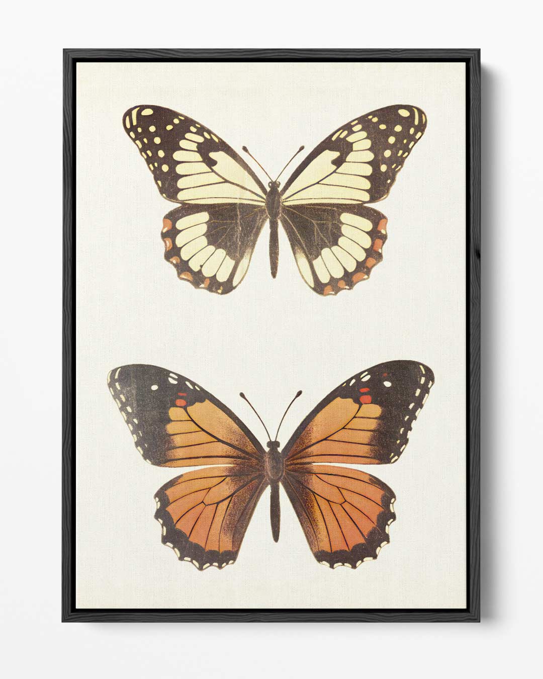 Vintage Vlinder Illustratie Kunstwerk-canvas-dibond-plexiglas-wanddecoratie-WallArtistic