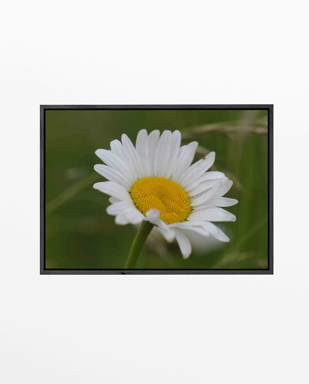 Bloem in natuur Kunstwerk