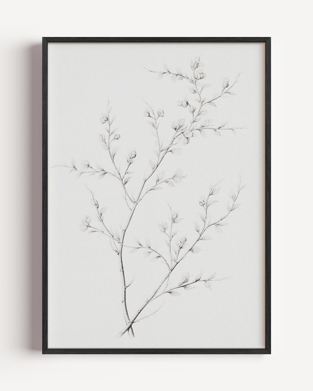 Elegante Botanische Kunst Poster-WallArtistic