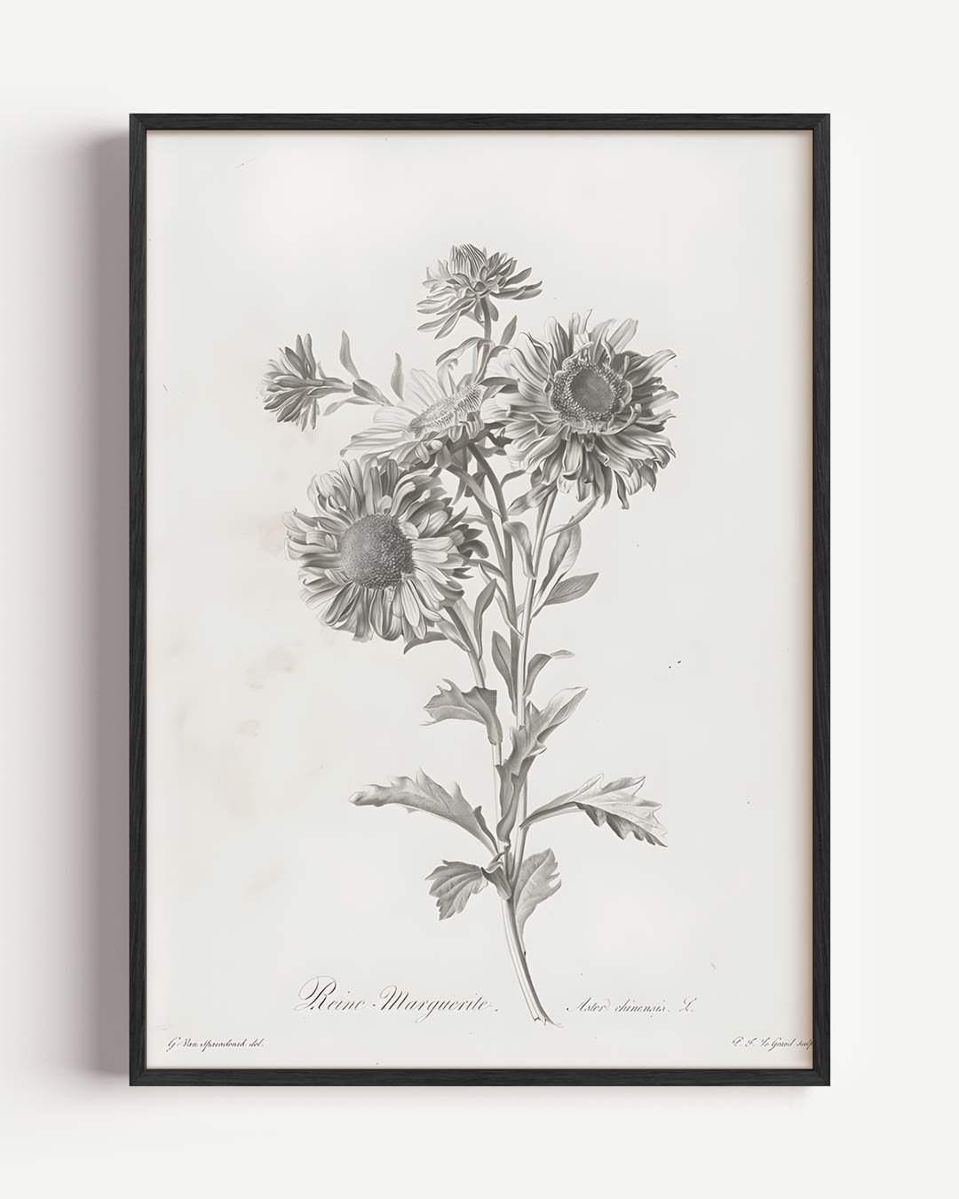 Botanische Bloemenpracht Poster