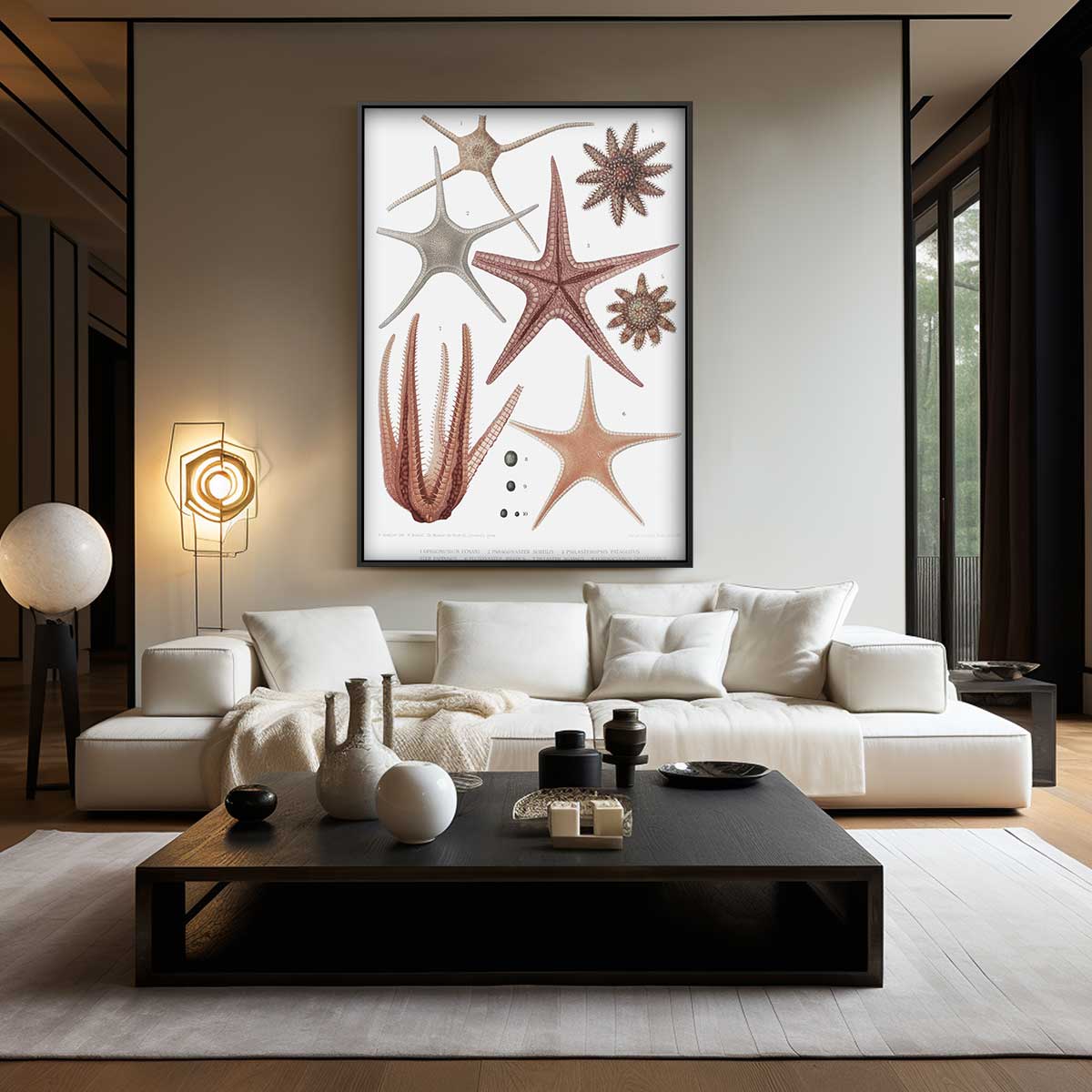 Zeester Wonderen Illustratie Kunstwerk-canvas-dibond-plexiglas-wanddecoratie-WallArtistic