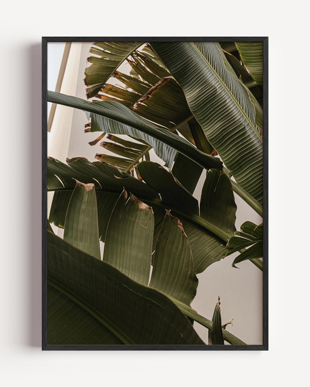 Tropical Jungle Bladeren Poster-WallArtistic