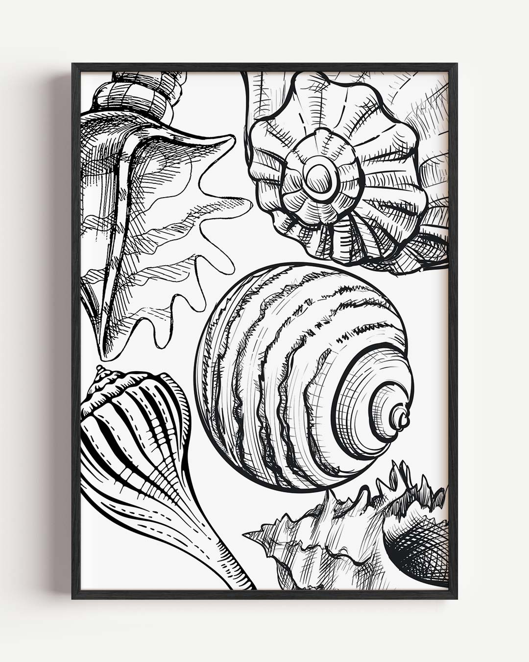 Schelpen Kunstposter