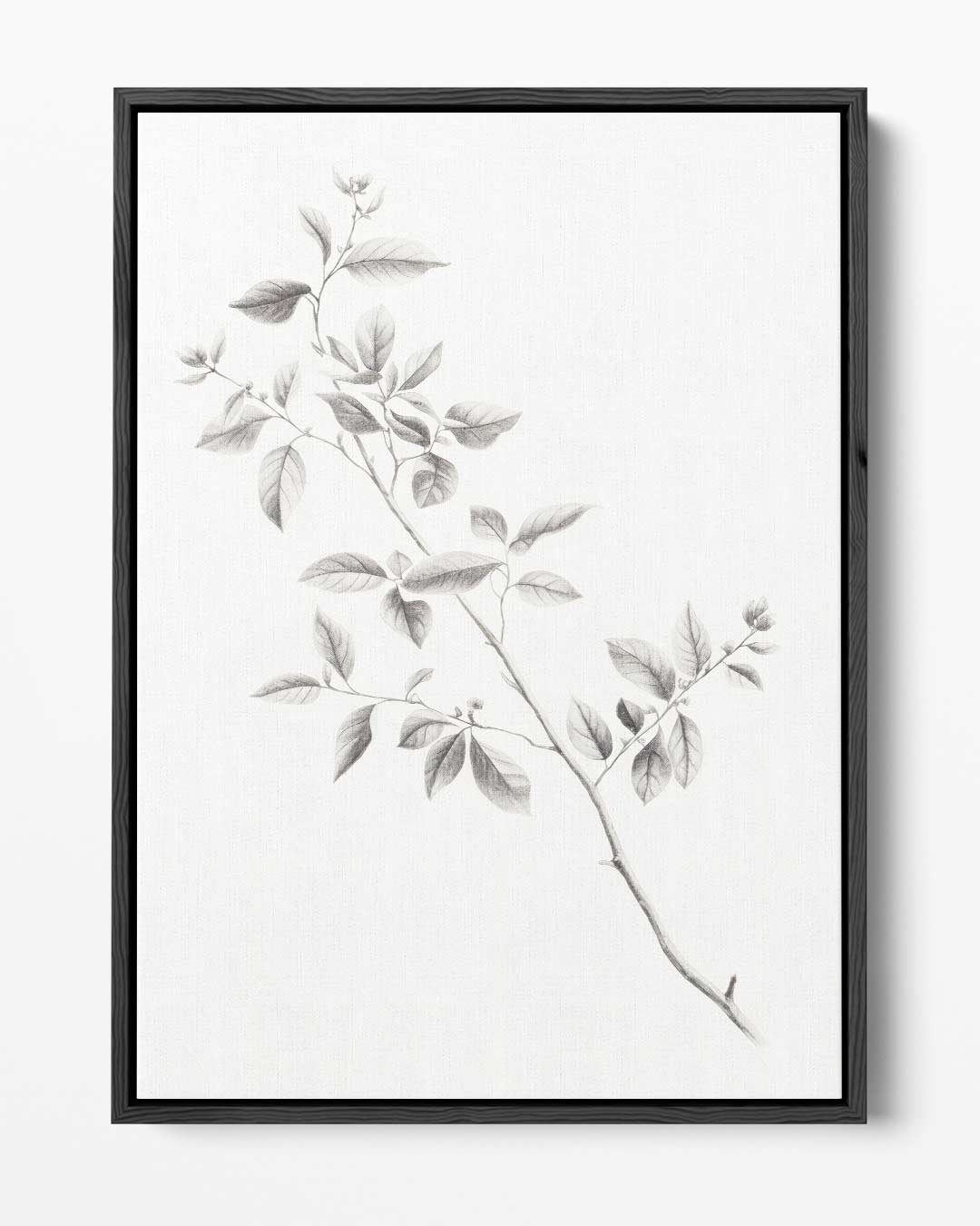 Elegante Botanische Tekening van een Tak Kunstwerk-canvas-dibond-plexiglas-wanddecoratie-WallArtistic