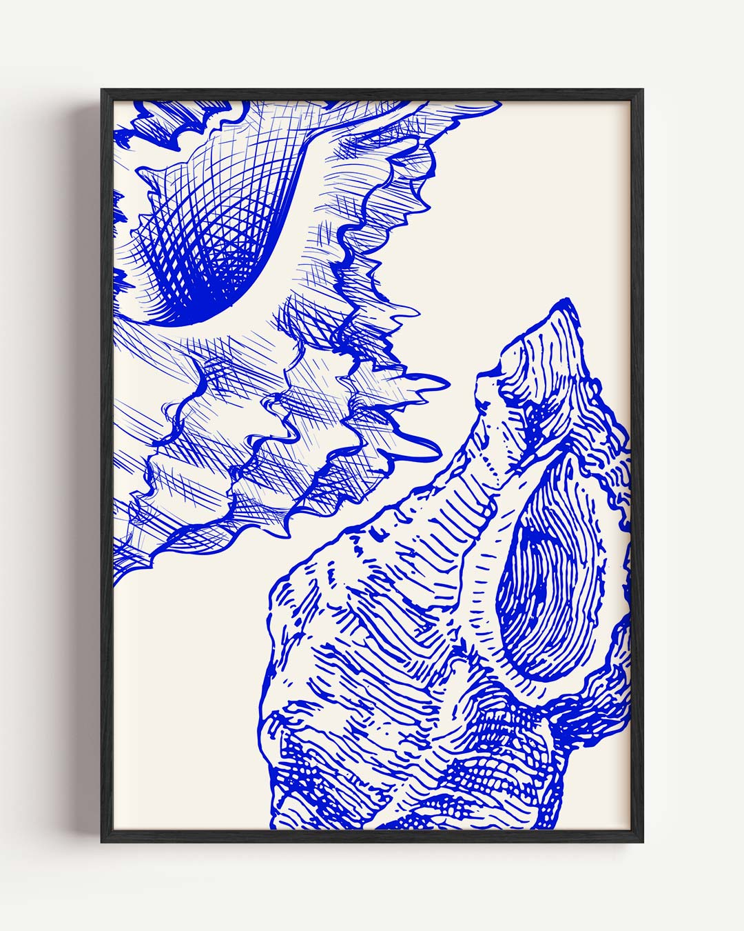 Maritieme Schelp Illustratie Poster